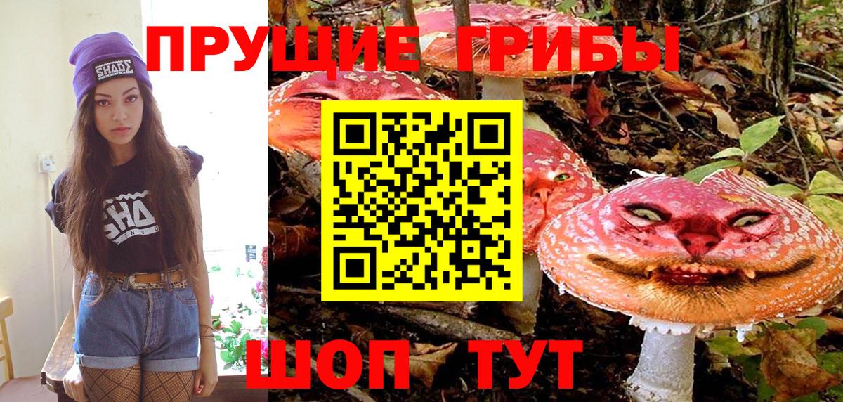 Галлюциногенные грибы GOLDEN TEACHER Полысаево